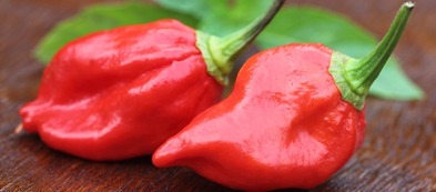 Naga Morich: tre facili ricette per utilizzarlo in cucina