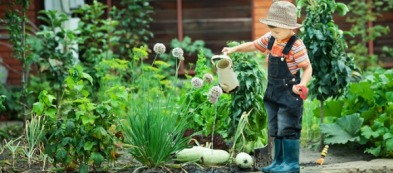 Come combattere gli afidi nell'orto in modo naturale