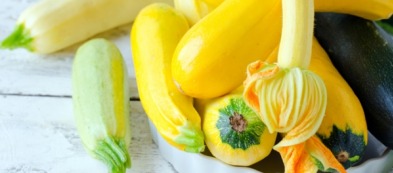 Zucchine: trapiantarle in estate per avere nuovamente i frutti