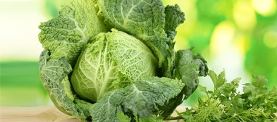 Verza: un amore di cavolo da trapiantare in piena estate