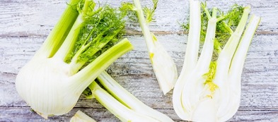 Malattie e parassiti del finocchio: come difendersi?