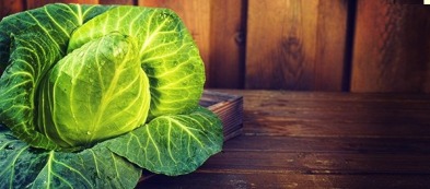 Cavolo cappuccio a punta: una varietà bella e rustica nell'orto di casa