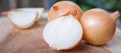 Tornano le cipolle da coltivare nell'orto