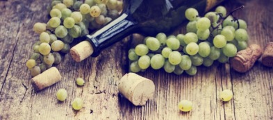 Le regole auree per coltivare le viti da vino