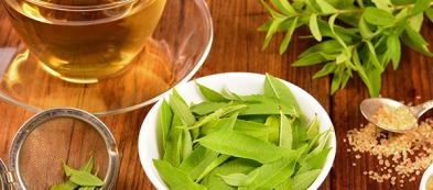 Le tisane che scaldano l'inverno: ecco la limoncina