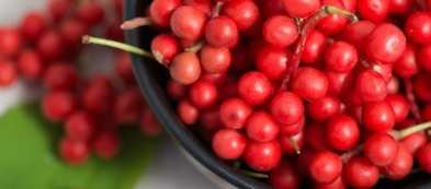 Schisandra, come coltivare la bacca dai 5 sapori