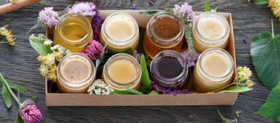 Coltivare l'albero del miele: un portento per la natura