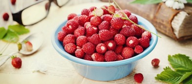 Fragoline di bosco: facili da coltivare, ottime da cogliere