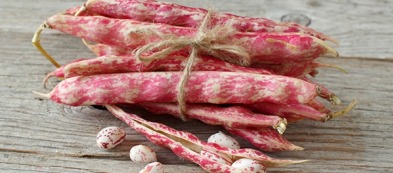 Fagioli borlotti: 3 consigli per farli crescere bene ed evitare il marciume