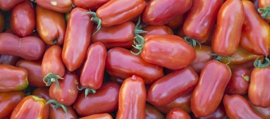 San Marzano: torna il tempo dei pomodori nell'orto