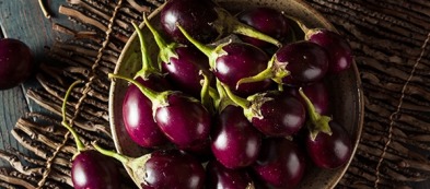 Melanzane: come combattere malattie e parassiti?