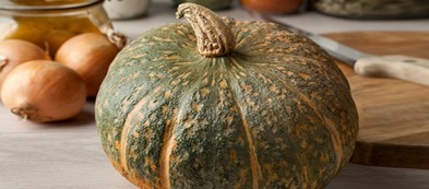 Zucca delica: la varietà preferita dagli chef