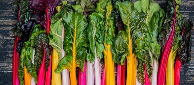 Coste: rosse, bianche o arcobaleno. A voi la scelta per un orto colorato di benessere