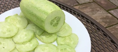 Cetriolo bianco: un tocco in più per le vostre insalate