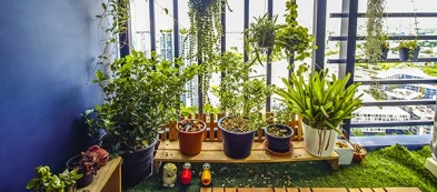 Porta un po' di verde in città, realizza il tuo orto sul balcone