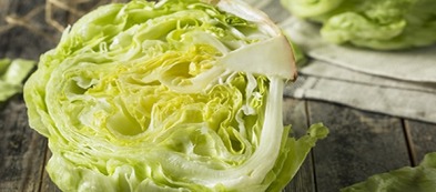 Coltivare insalata iceberg, o lattuga brasiliana, nell'orto di casa