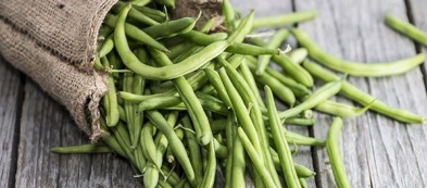 Coltivare il fagiolino: tutto sta nel quando raccoglierlo