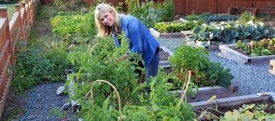 Cosa fare nell'orto in settembre: tutti i lavori e il raccolto