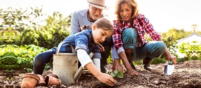 Cosa trapiantare nell'orto a ottobre?