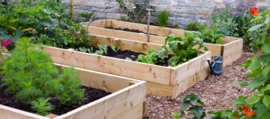 L'orto di Zeno: un regalo per il proprio benessere