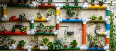 Orto urbano: ecco come creare un orto in città!