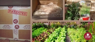 L'imballaggio di Piantine da Orto è brevettato per proteggere le tue piante!