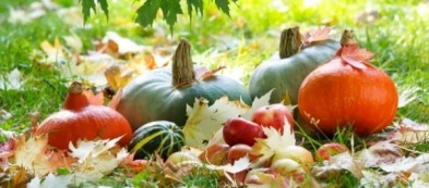 Cosa fare nell'orto a settembre: i lavori del mese