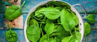 Spinaci ricette: dall'orto in cucina