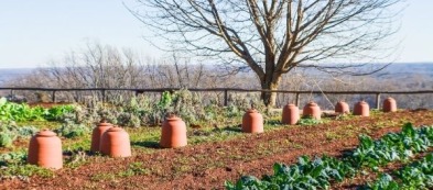 Cosa fare nell'orto a gennaio