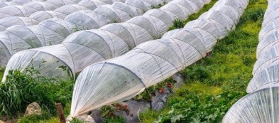 Serra tunnel: ecco come realizzarne una nel modo migliore