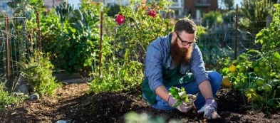 Cosa trapiantare nell'orto a marzo: i nuovi trapianti
