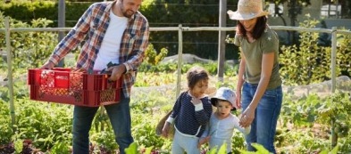 Cosa fare nell'orto ad aprile: ecco i lavori del mese