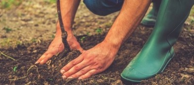 Cosa fare nell'orto a maggio: scopri i lavori del mese