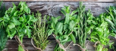 Erbe aromatiche: come coltivare le regine dell'orto estivo