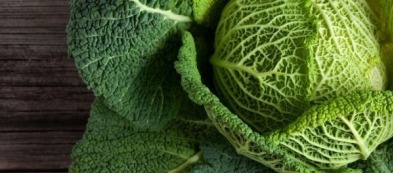 Verze, reginette dell'orto invernale: i segreti per coltivarle e cucinarle al meglio