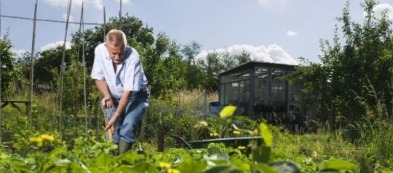 Cosa fare nell'orto a settembre: ecco i nostri consigli