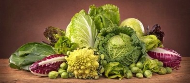 Orto invernale: gli ortaggi sfidano le temperature, quali resisteranno?