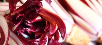 Radicchiamo insieme? Ecco qui tutti i tipi di radicchio che puoi trovare in commercio