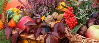 Cosa fare e trapiantare nell'orto a novembre: ecco la nostra guida