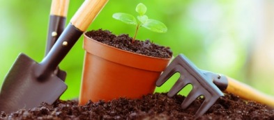 Che cosa fare nell'orto a giugno: tutti i lavori del mese