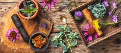 Scopri il fantastico mondo delle piante aromatiche e i loro utilizzi