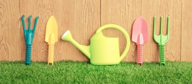 L'orto mese per mese: luglio