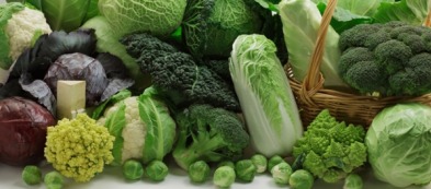 Raccoglitore d'agosto: tutti gli ortaggi da trapiantare