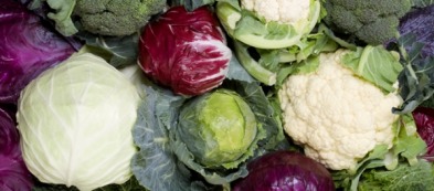 Raccoglitore di settembre: tutti gli ortaggi da trapiantare