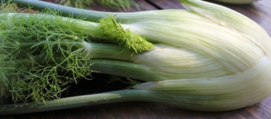 Come coltivare il finocchio: dal trapianto alla tavola