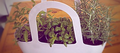 Guida all'orto in casa per chi non ha un giardino o un terrazzo