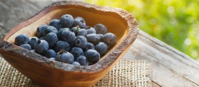 Mirtillo gigante: un frutto fiabesco da coltivare anche in vaso