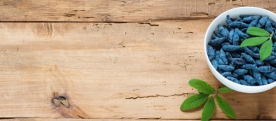 Mirtillo siberiano: coltivazione e cure