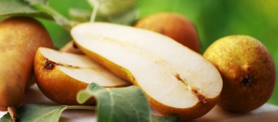 Pera Abate Fetel: un frutto tra i più amati, perfetto da coltivare in casa