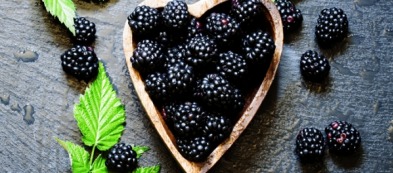 Coltivare la mora senza spine sia in vaso che in giardino